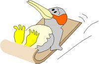 PENGSLID.PCT