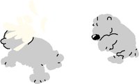 SPLAT2.PCT