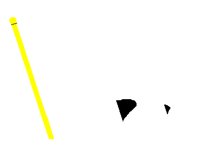 PLNFLAG2.PCT