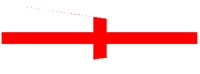 NFLAG_8.PCT