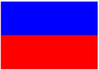 NFLAG_E.PCT