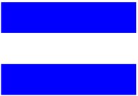 NFLAG_J.PCT