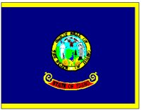 IDFLAG.PCT