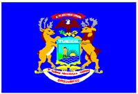 MIFLAG.PCT