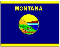 MTFLAG.PCT
