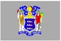 NJFLAG.PCT