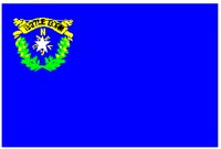 NVFLAG.PCT