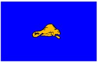 ORFLAG.PCT