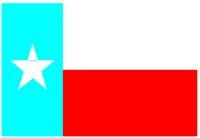 TXFLAG.PCT