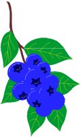 BERRIES1.PCT