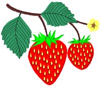 BERRIES2.PCT