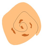 BREAD1.PCT