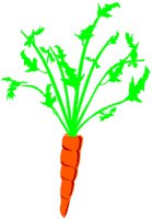 CARROT.PCT