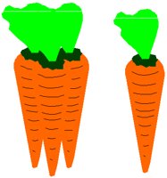 CARROTS.PCT