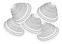 CLAMS.PCT