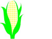 CORN1.PCT