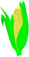 CORN2.PCT