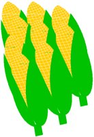CORN3.PCT