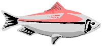 FISH.PCT