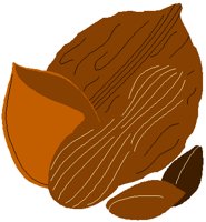 NUTS.PCT