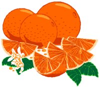 ORANGES2.PCT