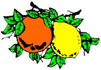 ORANLEM.PCT