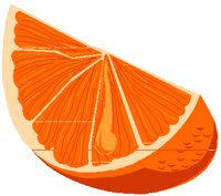 ORSLICE.PCT