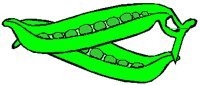 PEAS.PCT