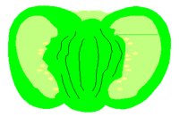 VEGTBL3.PCT