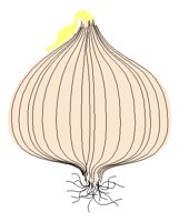 VEGTBL6.PCT