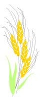 WHEAT.PCT