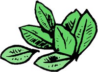 BASIL.PCT