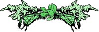 HERBS.PCT