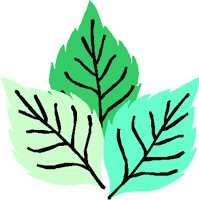 LEAVES.PCT