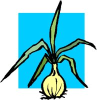 ONION.PCT