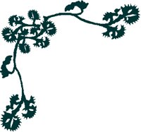 PARSLEY.PCT