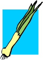 SCALLION.PCT