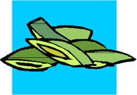 SNOWPEA.PCT
