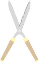 CLIPPERS.PCT