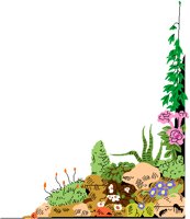 ROCKGRDN.PCT