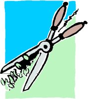 SHEARS.PCT