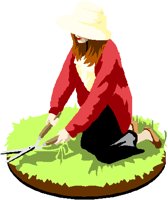 TRIMMING.PCT