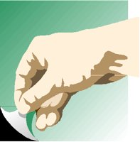 PINCH2.PCT