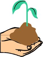 SEEDLING.PCT