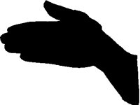 SHADOW.PCT