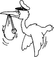 STORK.PCT