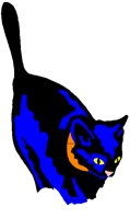 BLACKCAT.PCT