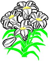 EASTLILY.PCT