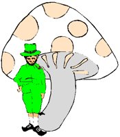 LEPRECHN.PCT