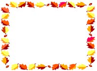 LVSBDR.PCT
